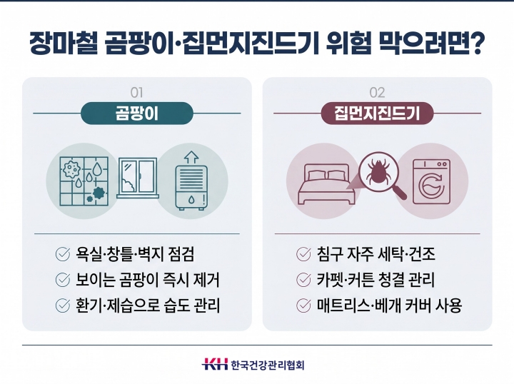 [건강] 장마철 습도가 키우는 곰팡이·집먼지진드기