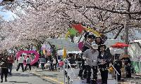  ‘제21회 봉숫골 꽃나들이 축제’ 분홍빛 추억 전해